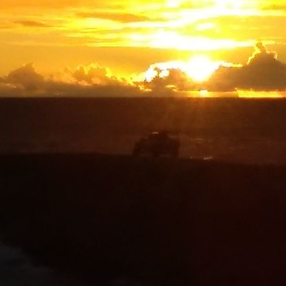 Meet your Posher, Jasmine - Picture 1 of 1